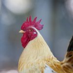 万博manbetx登录网页版的优势与特色功能全面解析 24r6jz