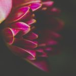 万博体育平台的多样化体育项目:满足不同用户需求 qrdbph6d