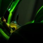 三和娱乐的未来:如何引领新一代的娱乐消费趋势 t2wn4orub