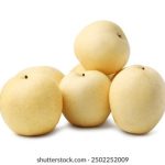 三易博娱乐:让你尽享刺激与乐趣的游戏平台 t5kh8