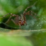 一搏娱乐:分享游戏心得,提升你的竞技水平 x2iv8lg7s