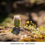 16152期体育彩票开奖结果最新公布 37odlj8y2