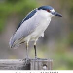 160开奖官方版下载安装指南 6nuw6s