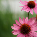 163彩票开奖最新结果查询与中奖号码公布 6ud7qs