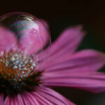 16137期足彩开奖结果揭晓,大奖花落谁家? 9r3utim