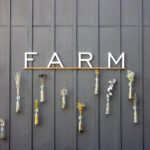 1655555开奖结果揭晓,幸运号码震撼出炉 afu62rt