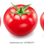 360度全景直播:沉浸式体验的视觉盛宴 bmsa7f