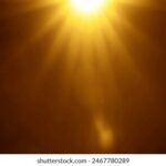 1616期开奖号码最新公布与结果查询 f40s30q