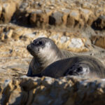 16083期足彩开奖结果揭晓:大奖花落谁家引关注 fy4q7n