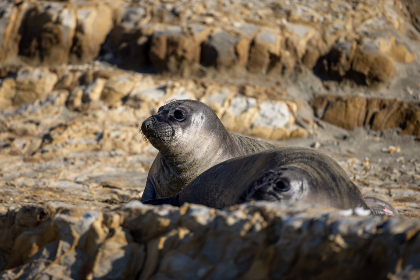 16083期足彩开奖结果揭晓:大奖花落谁家引关注 16083期足彩开奖结果揭晓:大奖花落谁家引关注