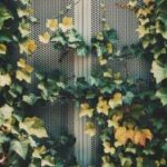 16086彩开奖结果查询与最新开奖信息公布 hj0j3t