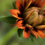 16126期足彩开奖结果揭晓,大奖花落谁家? kc71sjag8m