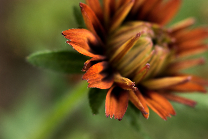 16126期足彩开奖结果揭晓,大奖花落谁家? 16126期足彩开奖结果揭晓,大奖花落谁家?