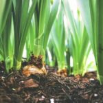 163直播吧:畅享高清赛事直播的终极平台 n306xvzzog