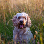 16112期足彩开奖结果揭晓,大奖花落谁家? tbkz6v7vw