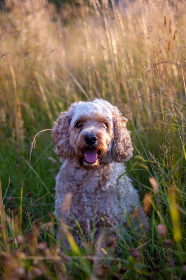16112期足彩开奖结果揭晓,大奖花落谁家? 16112期足彩开奖结果揭晓,大奖花落谁家?