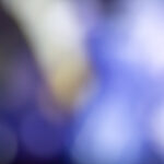 16173开奖结果最新公布,速来查看中奖详情 yk5lx6637